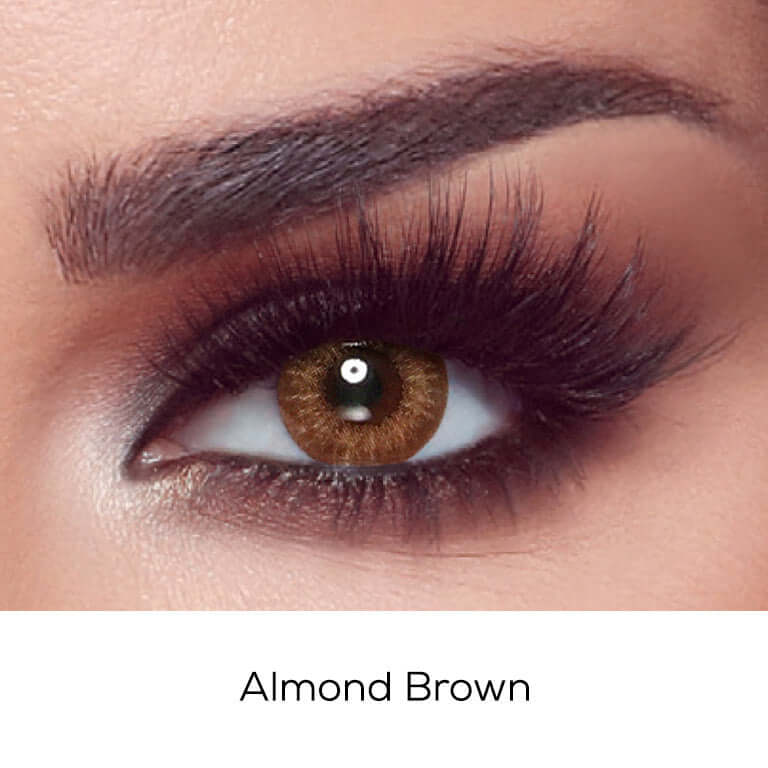 Almond Brown Lens